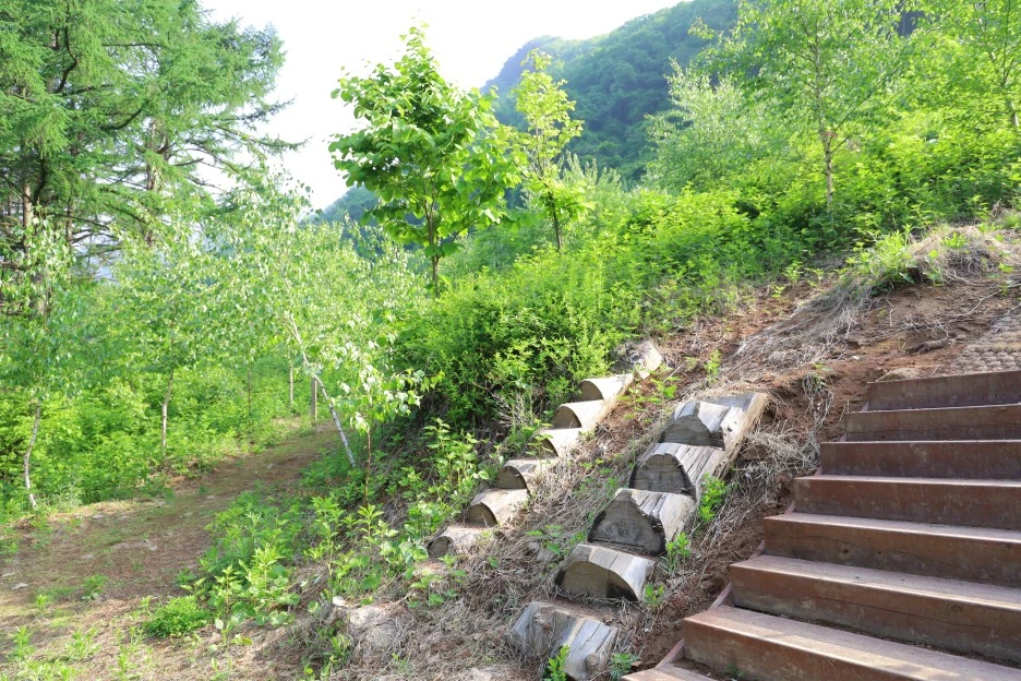 5%EC%9B%9410%EC%9D%BC_(14).JPG?type=w1