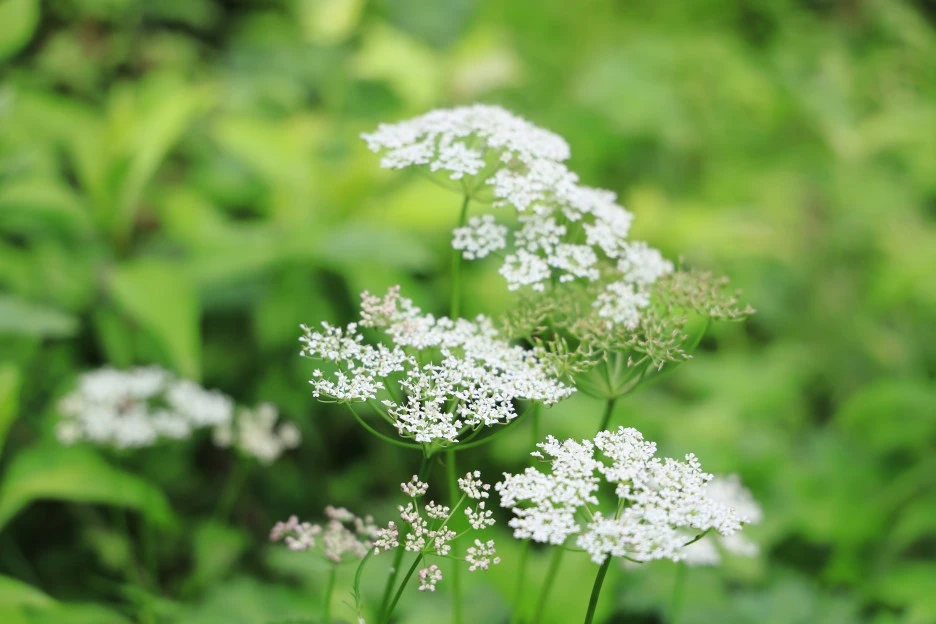 6%EC%9B%9414%EC%9D%BC_(54).JPG?type=w1