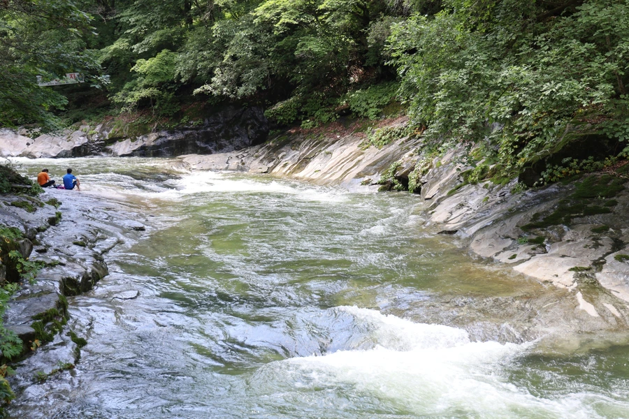 SE-b03f319b-fc4b-4346-9d50-840425c78c06.jpg?type=w1