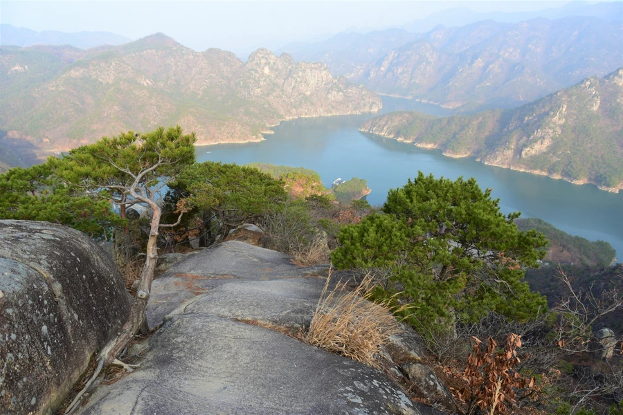 SE-92ed7eba-c11b-4d48-a440-286b0ffdf84a.jpg?type=w1