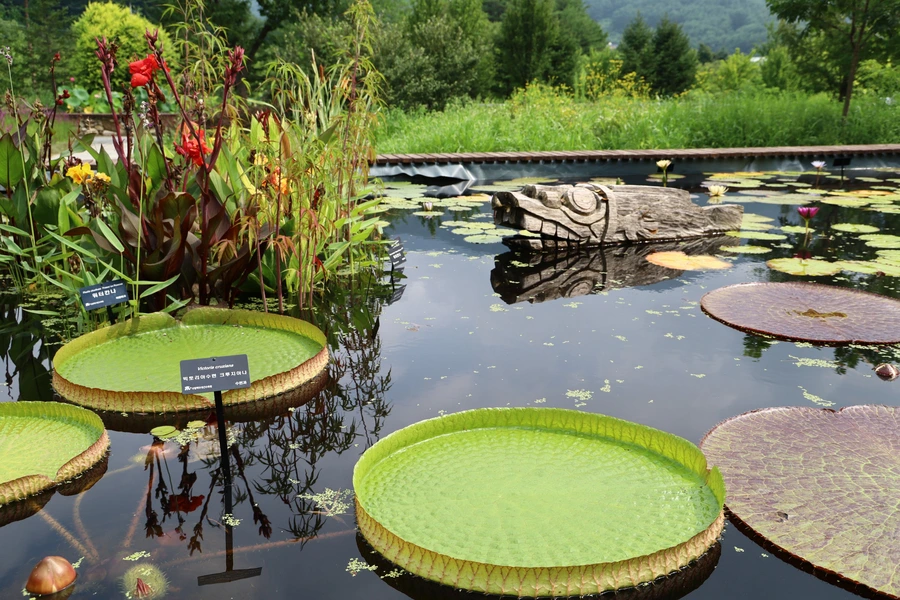 SE-c0d5f1b4-df13-4bf9-9274-d872d4533510.jpg?type=w1