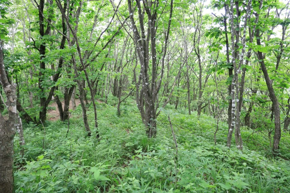 6%EC%9B%9428%EC%9D%BC_(134).JPG?type=w1