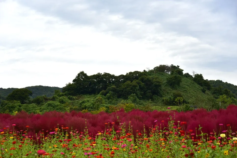 10%EC%9B%9414%EC%9D%BC_(81).JPG?type=w966