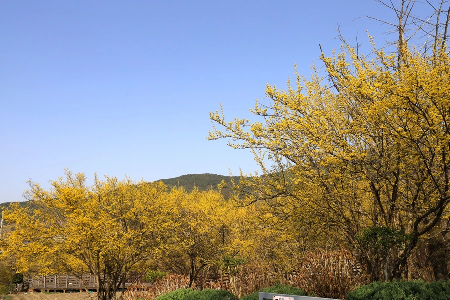 SE-41d88d1e-158e-4470-9e3c-ac6082505561.jpg?type=w1