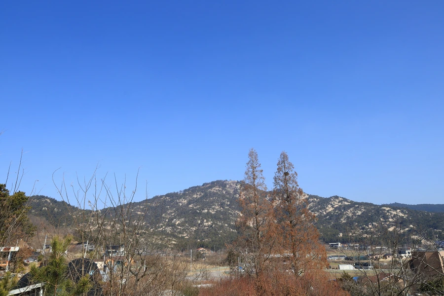 SE-f531903a-4e29-4085-86ac-e444d6846d33.jpg?type=w1