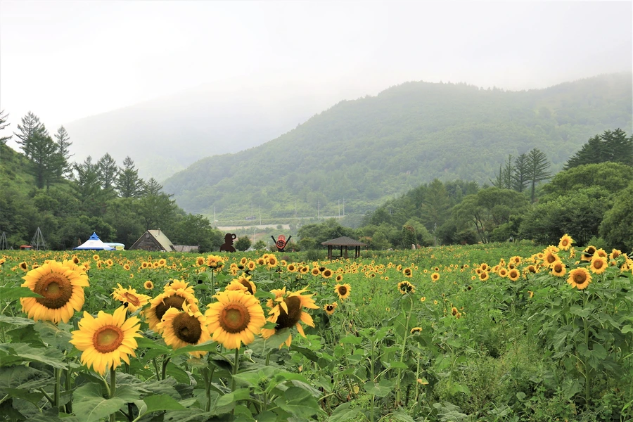 SE-2291a57a-ae12-4ac2-a5bb-fbf3ccb7a366.jpg?type=w1