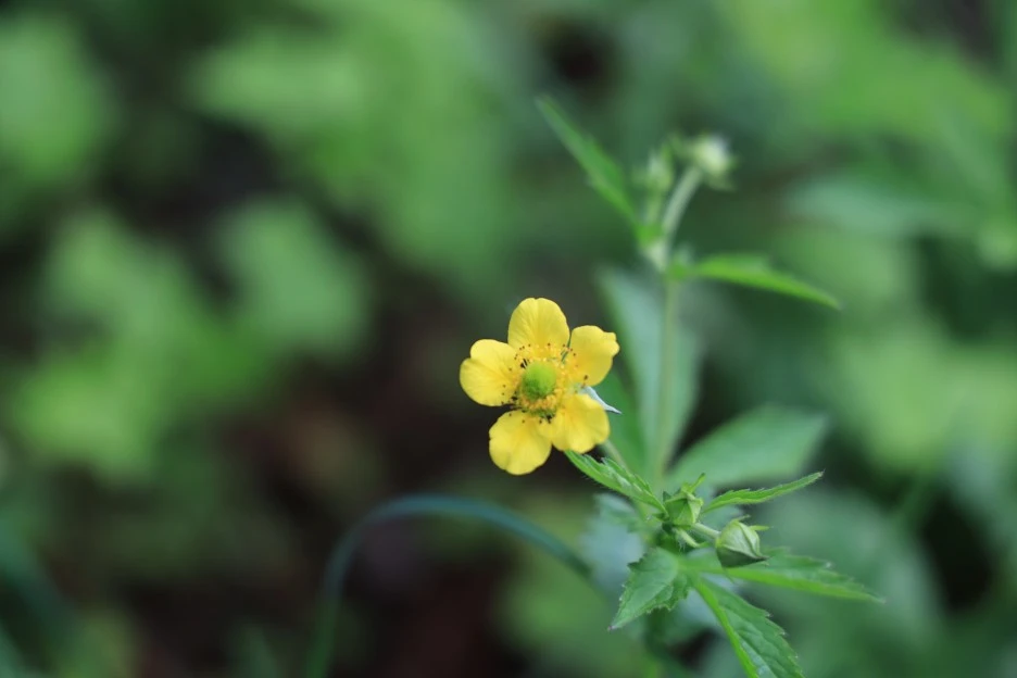 6%EC%9B%9414%EC%9D%BC_(312).JPG?type=w1