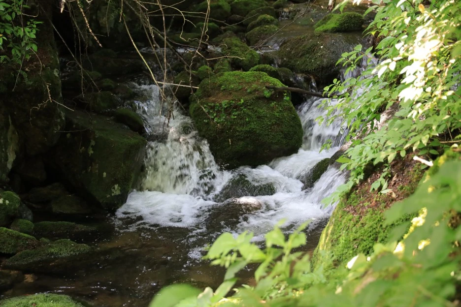 6%EC%9B%9428%EC%9D%BC_(34).JPG?type=w1