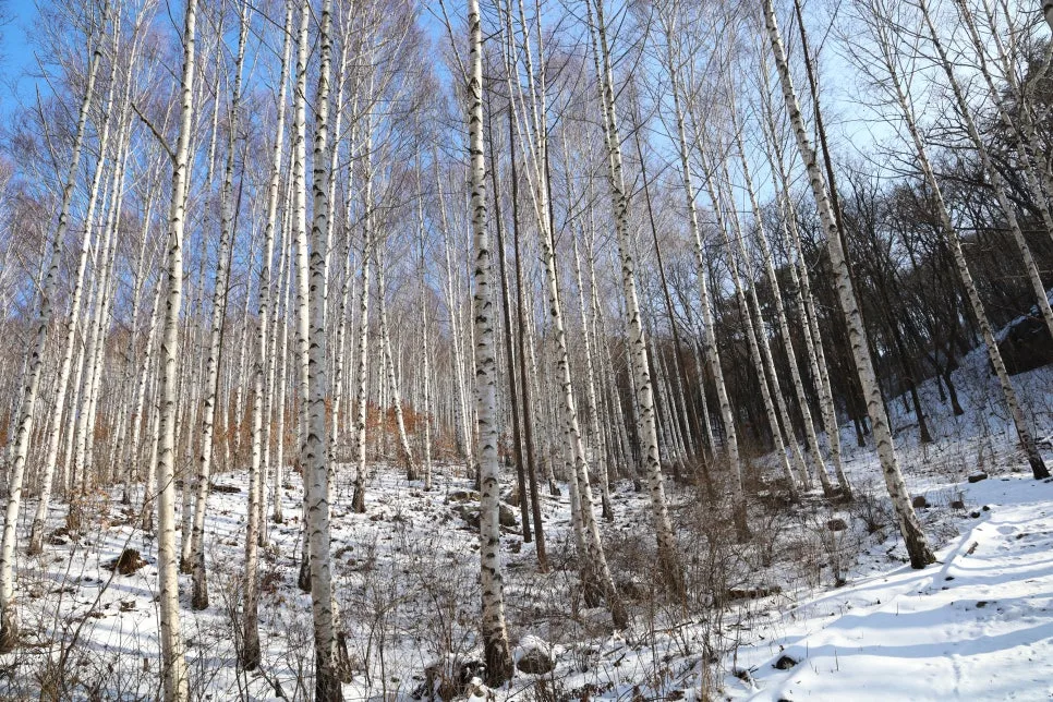 12%EC%9B%9426%EC%9D%BC_(77).JPG?type=w966