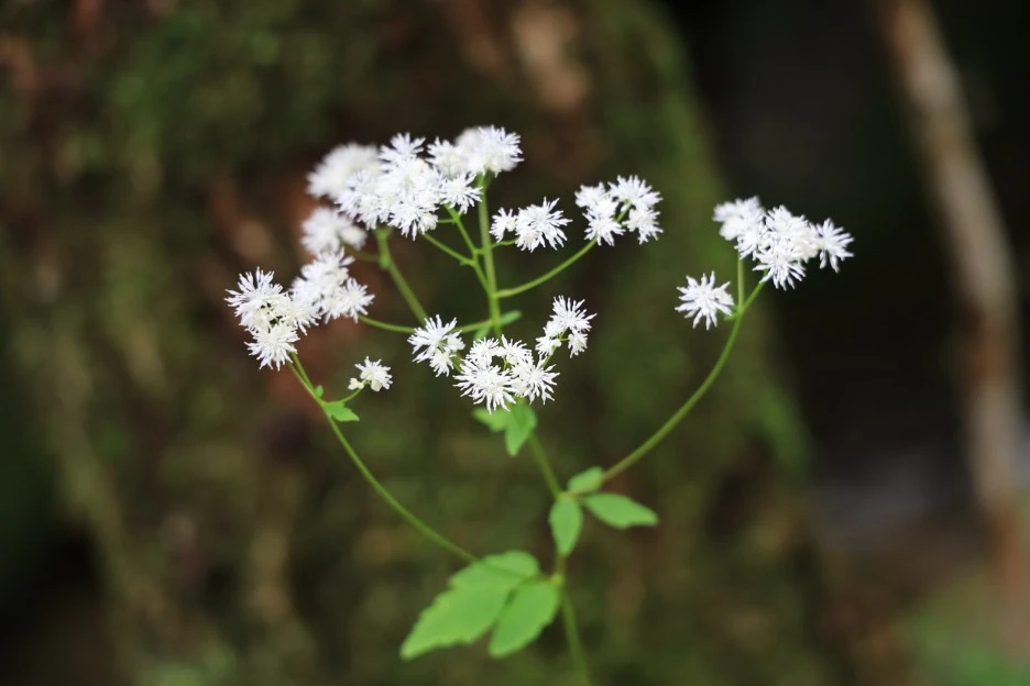 6%EC%9B%9428%EC%9D%BC_(382).JPG?type=w1