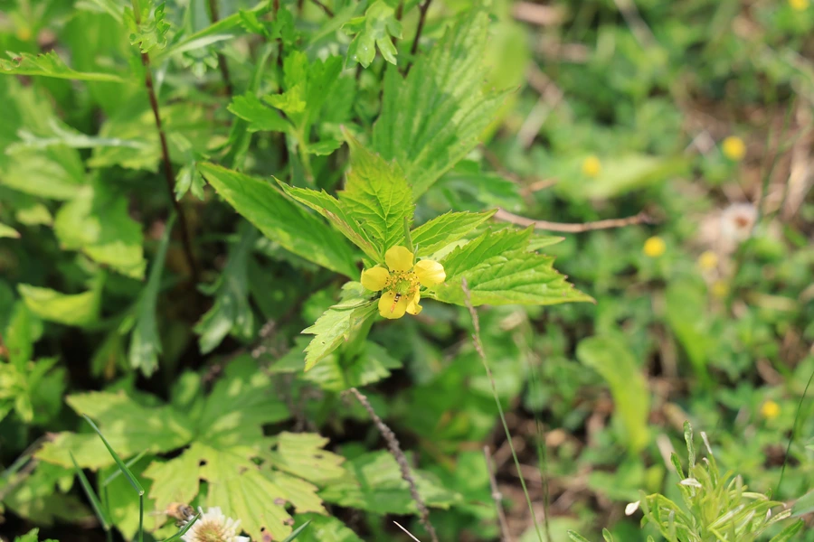 SE-69be396f-ed9e-495e-aad2-2129aa8353a8.jpg?type=w1