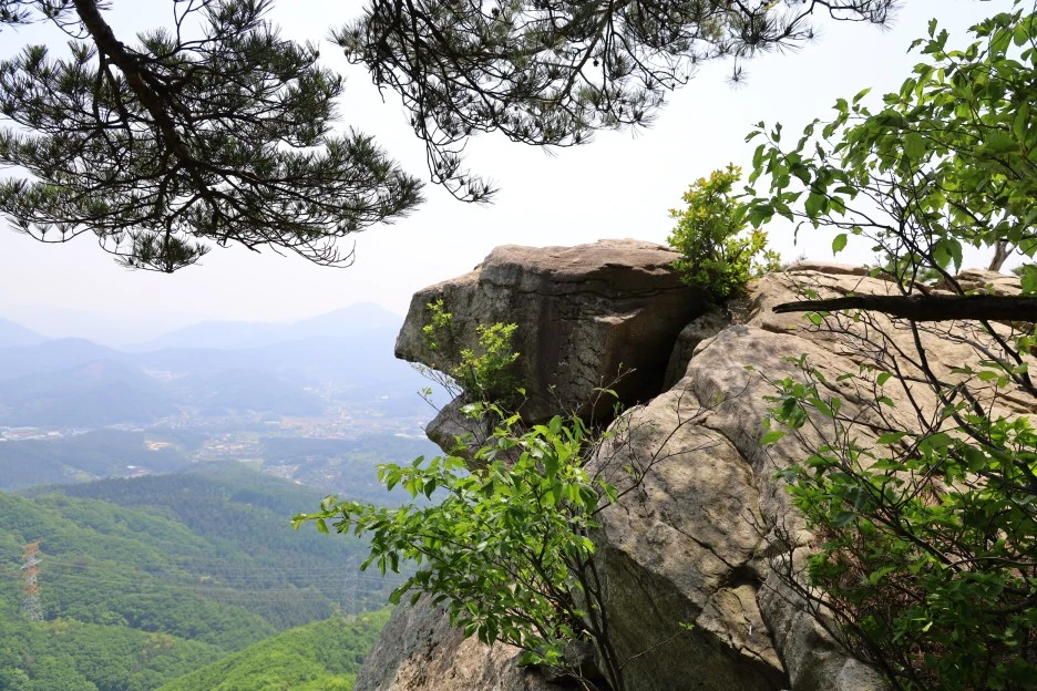 5%EC%9B%9410%EC%9D%BC_(162).JPG?type=w1