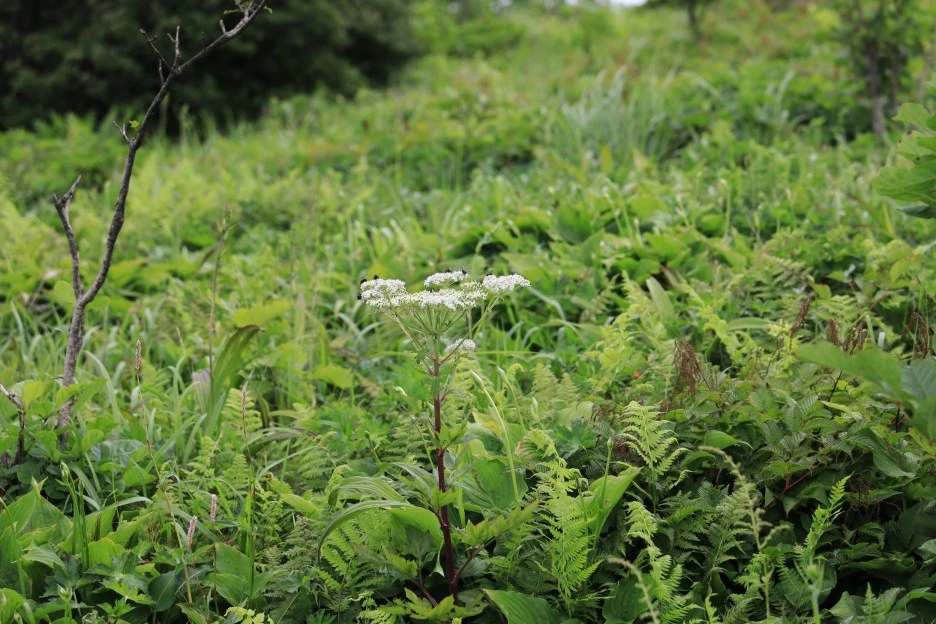 6%EC%9B%9428%EC%9D%BC_(178).JPG?type=w1