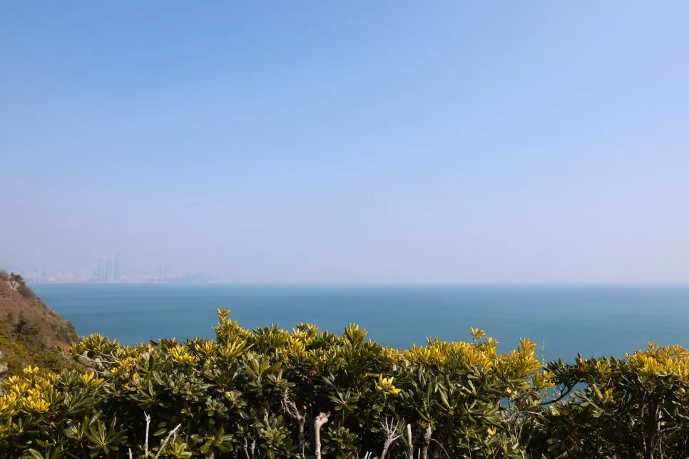 2%EC%9B%9426%EC%9D%BC_(17).JPG?type=w966