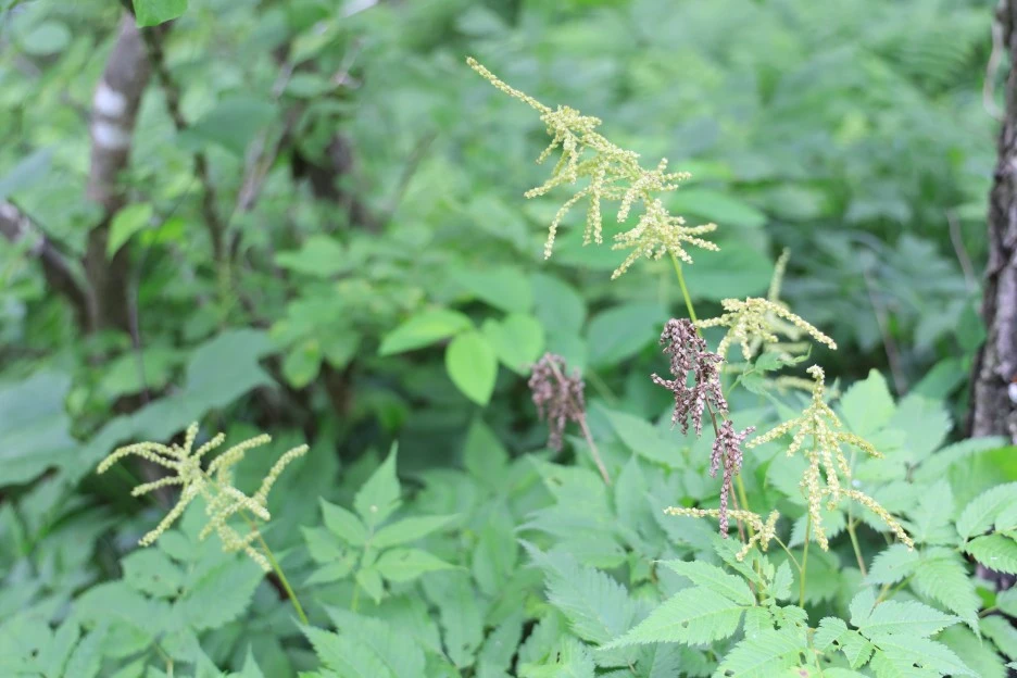 6%EC%9B%9428%EC%9D%BC_(145).JPG?type=w1