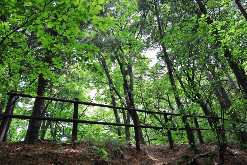 6%EC%9B%9428%EC%9D%BC_(103).JPG?type=w1