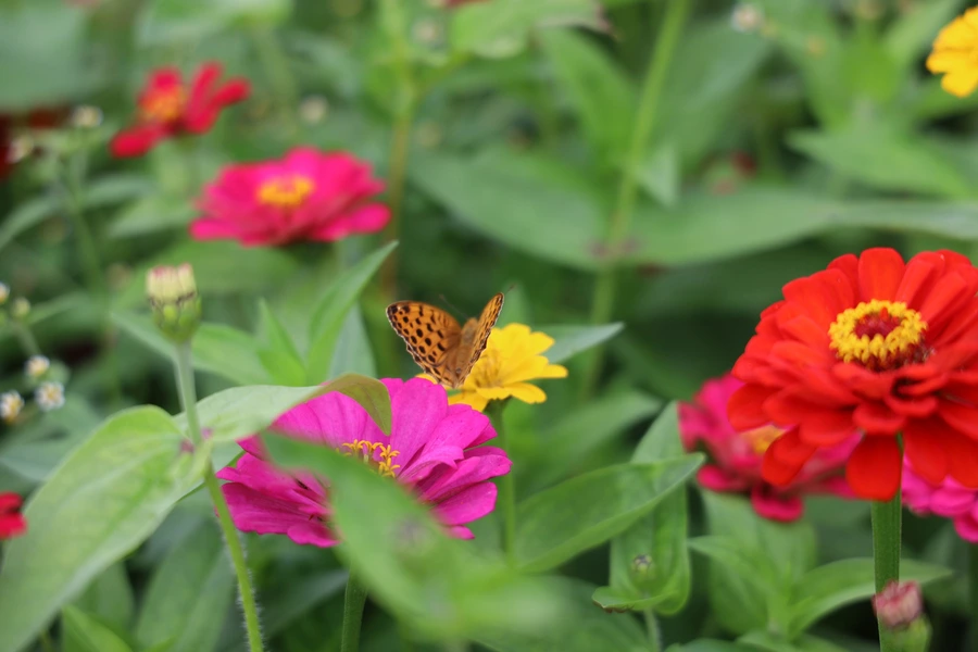 SE-b487fd56-e40f-478b-8c78-5318c1c7ab94.jpg?type=w1