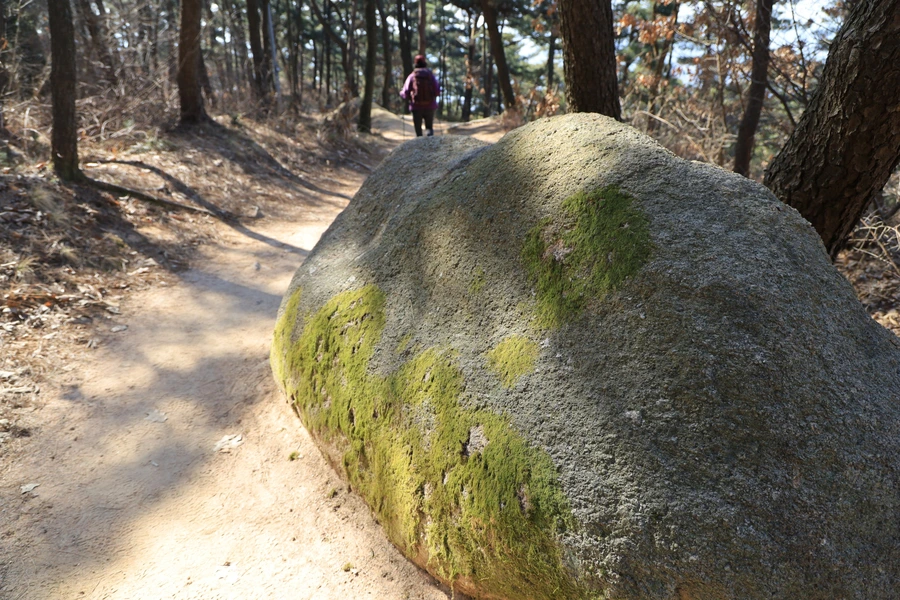 SE-867962ec-584a-49c0-a491-23d816376b36.jpg?type=w1