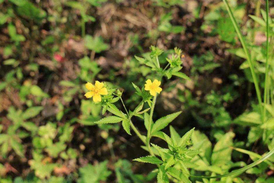 6%EC%9B%9428%EC%9D%BC_(440).JPG?type=w1