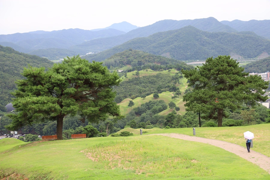 SE-51924d38-1b64-4bb5-840f-05927e1533fd.jpg?type=w1