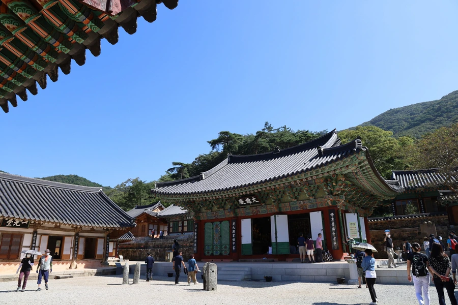 SE-1fb13a94-1e36-4ab3-bfe6-56e54bb7a07b.jpg?type=w1