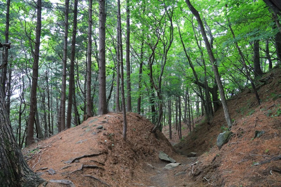 6%EC%9B%9428%EC%9D%BC_(356).JPG?type=w1