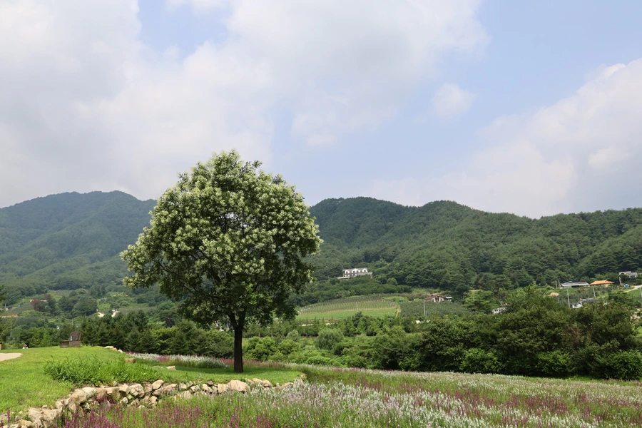 SE-8f70a1b9-2fcb-4f47-a1a8-22ba832480b7.jpg?type=w1