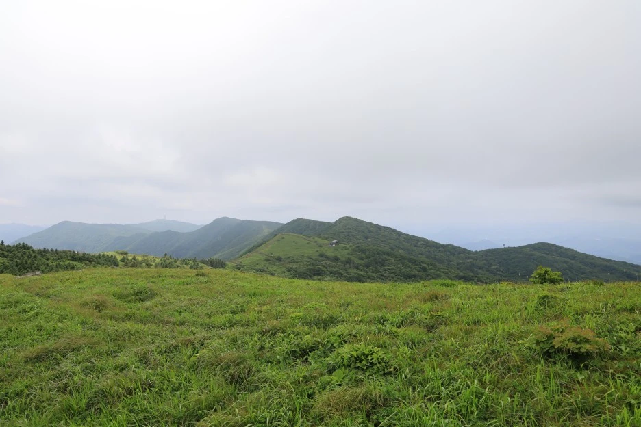 6%EC%9B%9428%EC%9D%BC_(228).JPG?type=w1