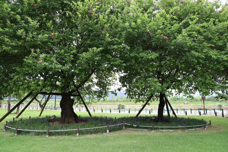 SE-a748fcdd-4560-4acb-b219-445381fceda3.jpg?type=w1