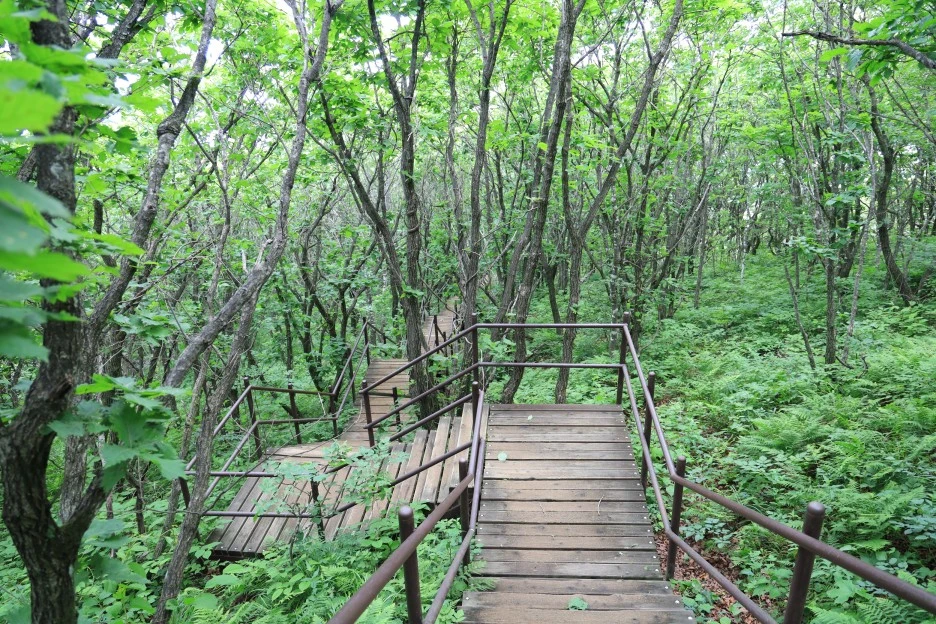 6%EC%9B%9428%EC%9D%BC_(351).JPG?type=w1