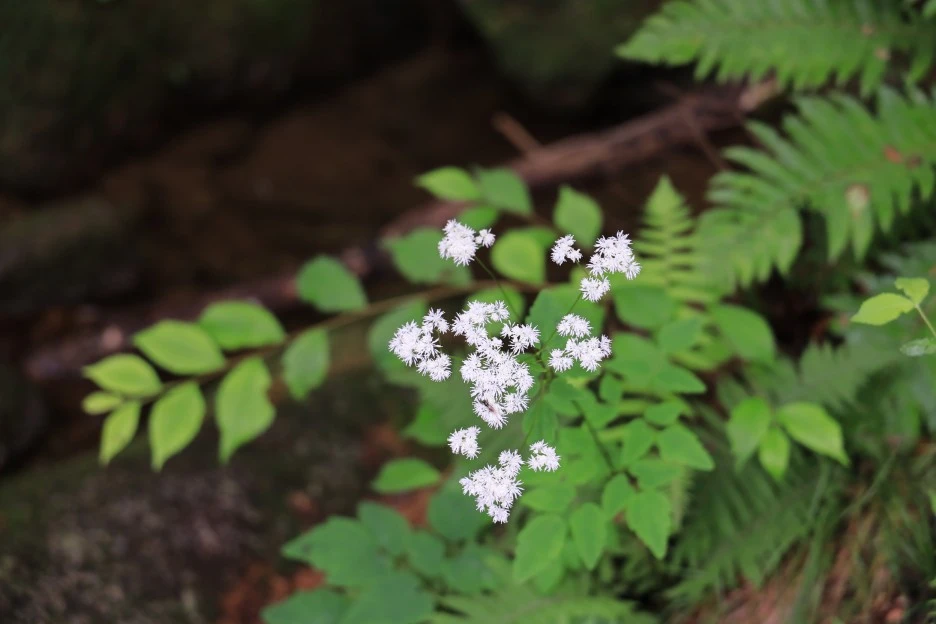 6%EC%9B%9428%EC%9D%BC_(384).JPG?type=w1