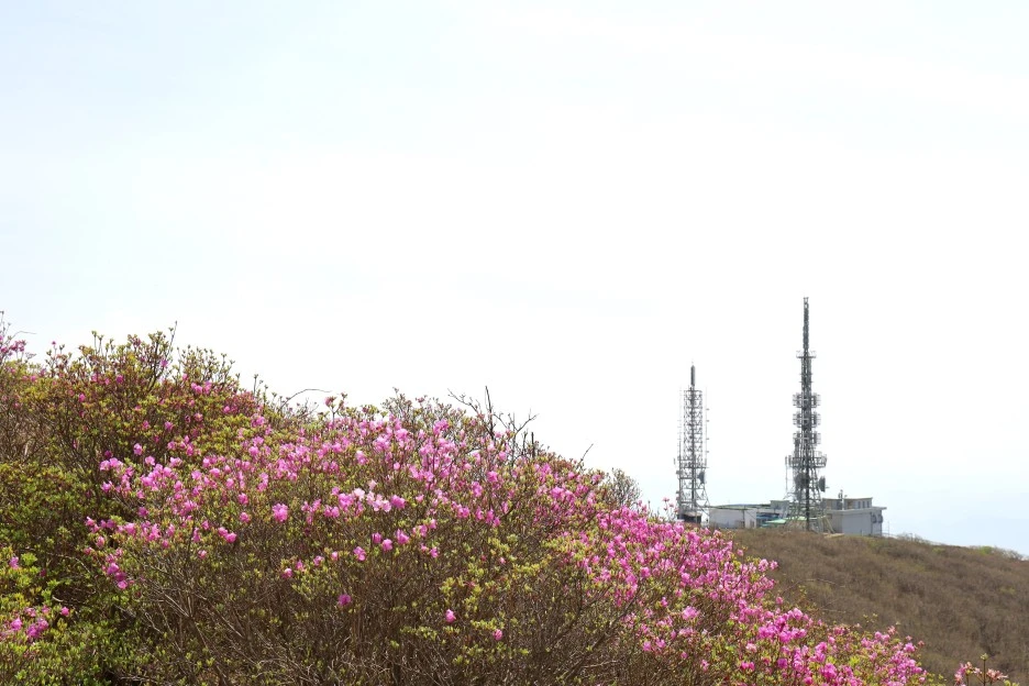 4%EC%9B%9428%EC%9D%BC_(52).JPG?type=w1