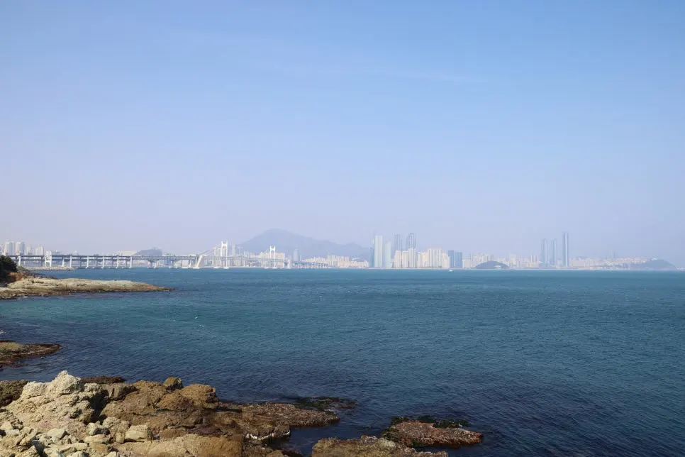 2%EC%9B%9426%EC%9D%BC_(100).JPG?type=w966