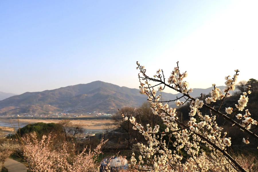 SE-f759a8bd-0169-46e2-b79a-4ba612898faa.jpg?type=w1