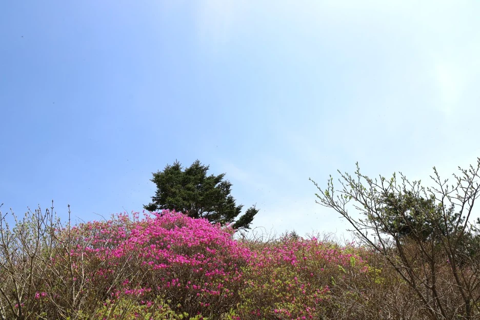 4%EC%9B%9428%EC%9D%BC_(27).JPG?type=w1