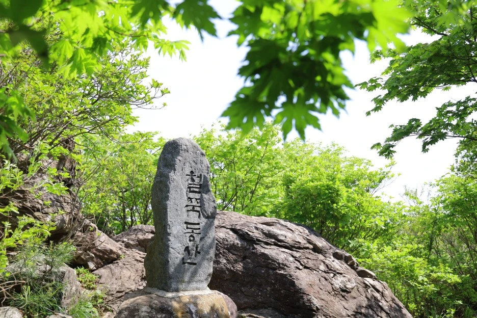 5%EC%9B%9410%EC%9D%BC_(49).JPG?type=w1