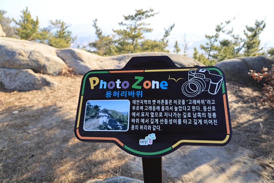 SE-46d02383-5abc-4d96-ae4b-ff02ea9221a3.jpg?type=w1