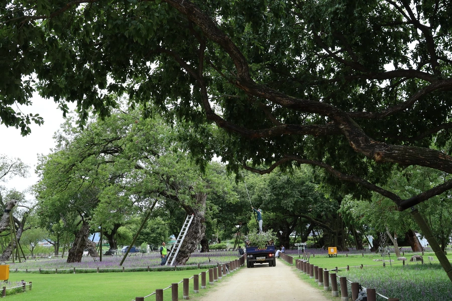 SE-77968e15-9fc8-41bc-babb-bb2a0618c4da.jpg?type=w1