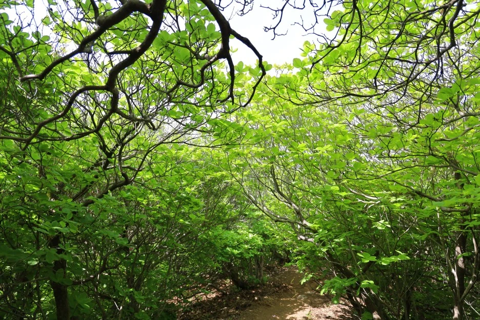 5%EC%9B%9410%EC%9D%BC_(57).JPG?type=w1