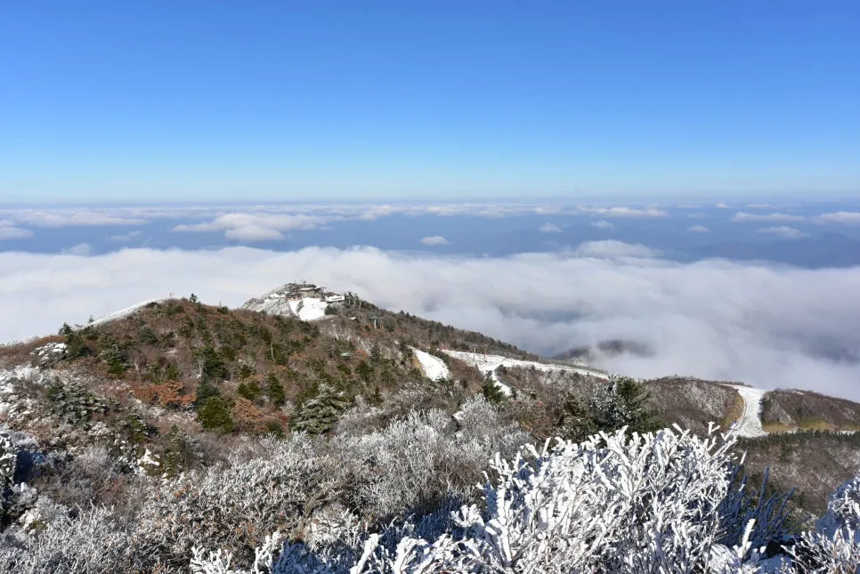 11%EC%9B%9426%EC%9D%BC_(142).JPG?type=w966