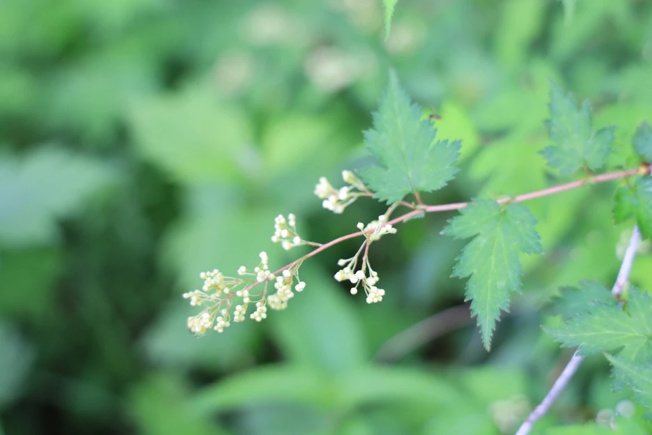 6%EC%9B%9414%EC%9D%BC_(60).JPG?type=w1