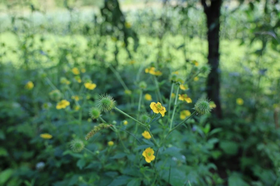 6%EC%9B%9428%EC%9D%BC_(6).JPG?type=w1