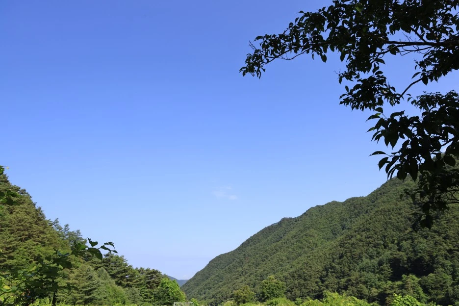 6%EC%9B%9428%EC%9D%BC_(5).JPG?type=w1