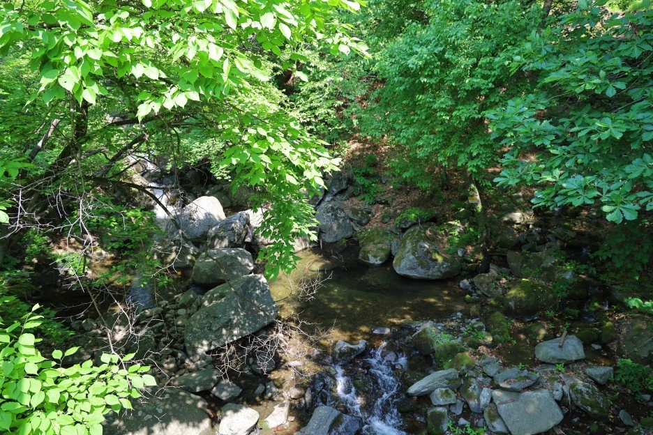 5%EC%9B%9410%EC%9D%BC_(193).JPG?type=w1