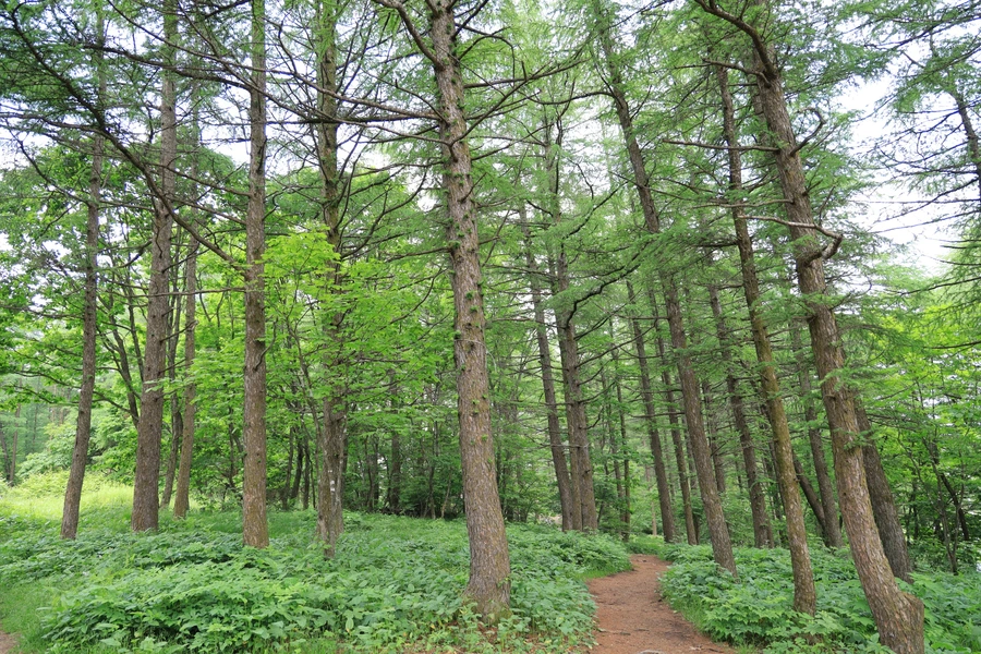 SE-8f09fa80-f917-4d28-9767-cc79dbea2976.jpg?type=w1