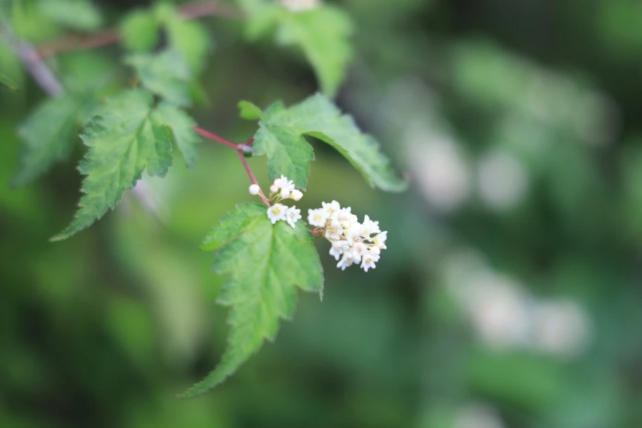 6%EC%9B%9414%EC%9D%BC_(88).JPG?type=w1