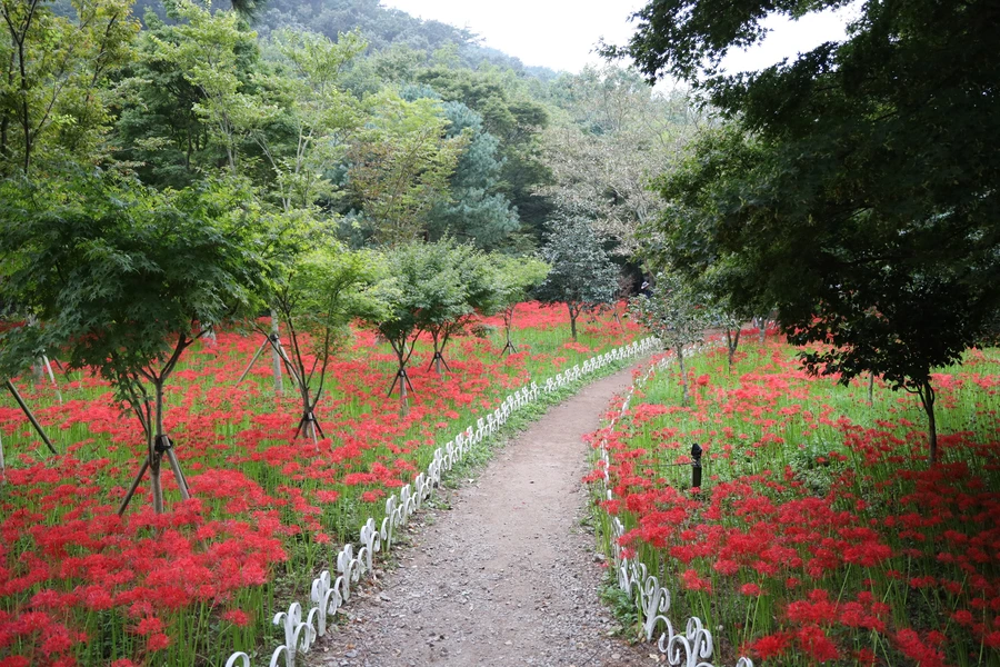 SE-fa06dc1d-c234-4c4d-97bc-305c81cb6447.jpg?type=w1