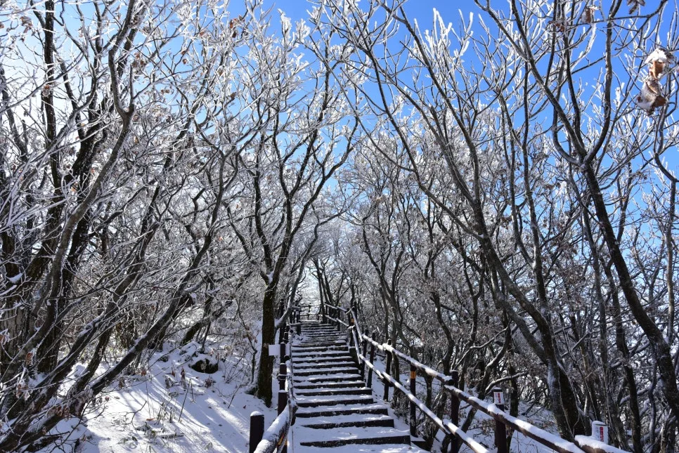 11%EC%9B%9426%EC%9D%BC_(80).JPG?type=w966