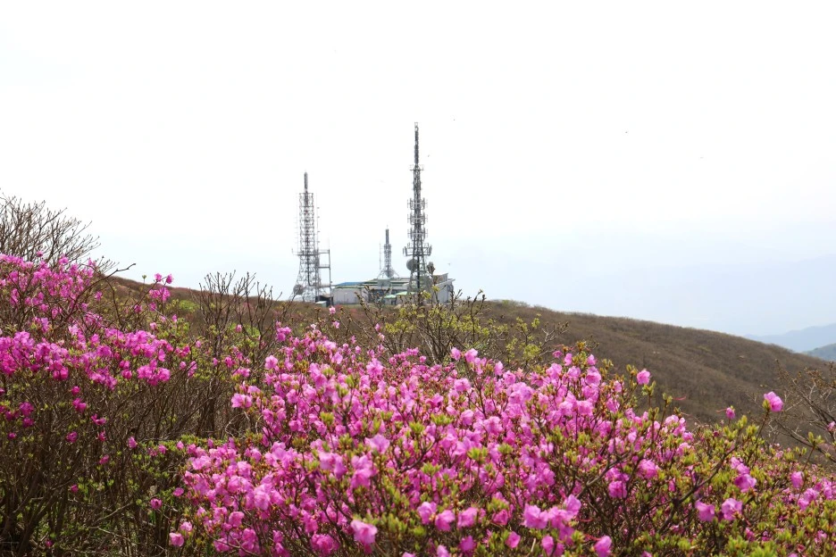 4%EC%9B%9428%EC%9D%BC_(141).JPG?type=w1