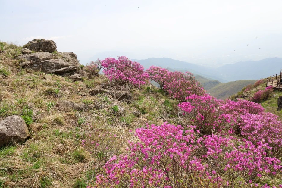 4%EC%9B%9428%EC%9D%BC_(113).JPG?type=w1